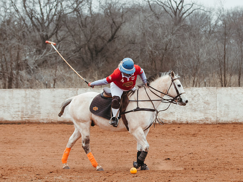 polocs.jpg Polo player on horse
