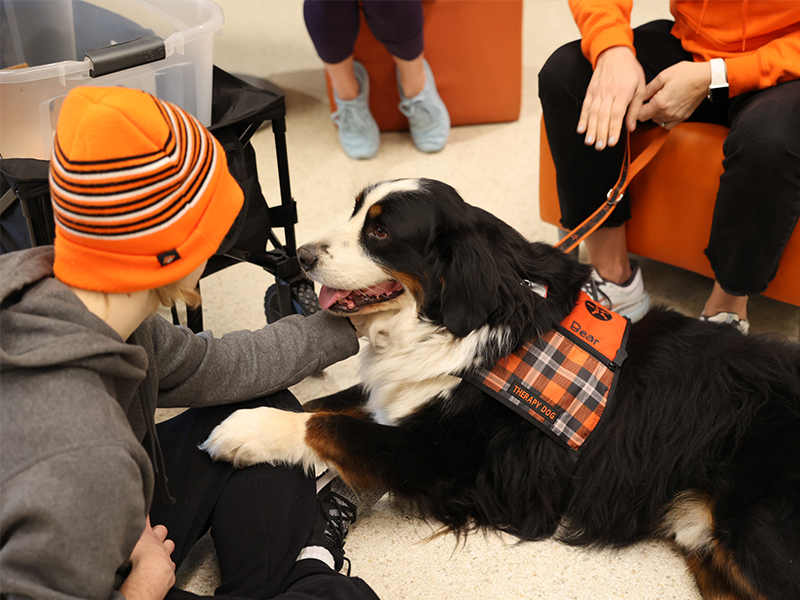 Student petting dog Student petting dog