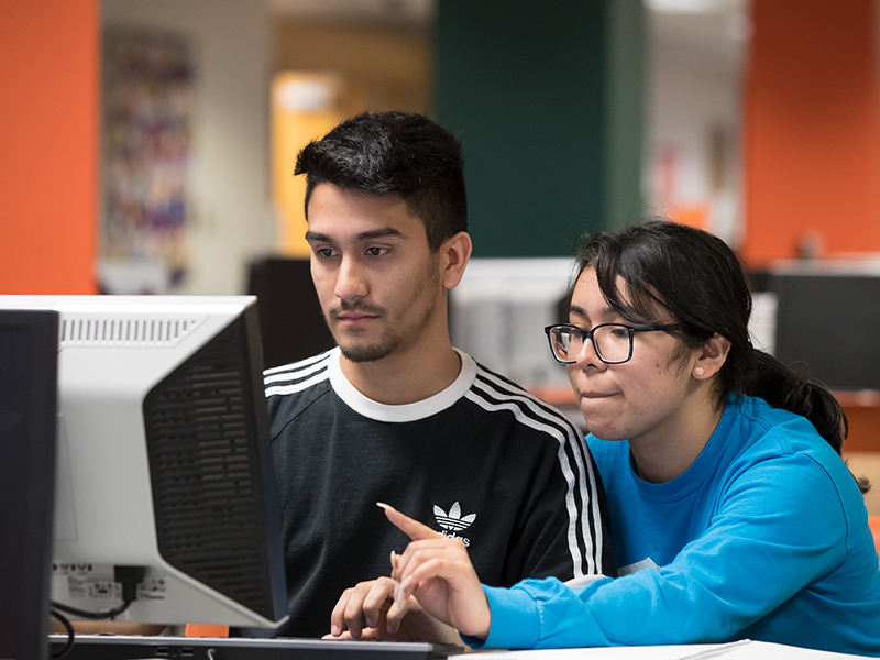 Students using computer in library Students using computer in library